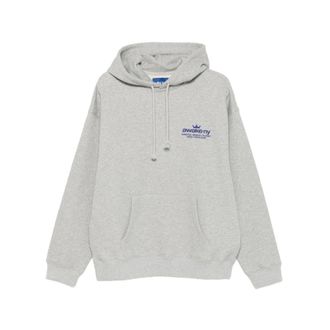 Awake NY Hoodies, male, Gray, Size: XL Globe Hoodie