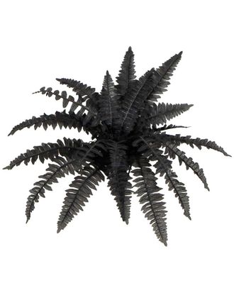 Nearly Natural 19In. Artificial Halloween Black Boston Fern - Set Of 6