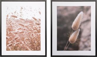 Creativ Home Bild mit Rahmen »Schilf« 2 Stk. tlg. auf Canvas-Leinwand