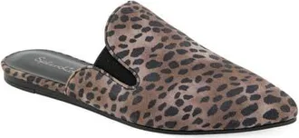 Splendid Liza Pointed Toe Mule in Dark Cheetah at Nordstrom, Size 7.5