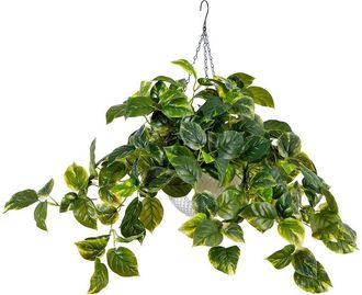 Nearly Natural Indoor/Outdoor Uv-Resistant Artificial Pothos With 50 Warm White Led Lights In Hanging Basket