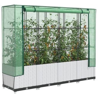 Berkfield Home Raised Bed with Greenhouse Cover Rattan Look 160x40x138 cm in White | Size: 160 x 40 x 138 cm