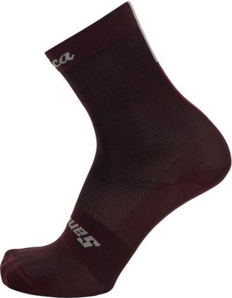 Santini Eroica Quiete Velosocken - Unisex | schwarz/braun