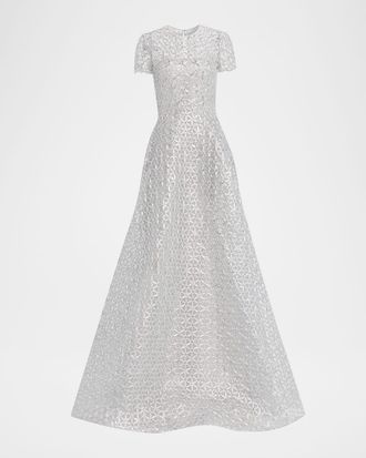 Naeem Khan Metallic Raffia Embroidered Short-Sleeve Gown