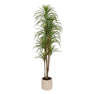 Atmosphera Dracena Verde Edi, 180 Cm, Con Maceta Blanca - Atmosphera Cr&eacute;ateur DInt&eacute;rieur