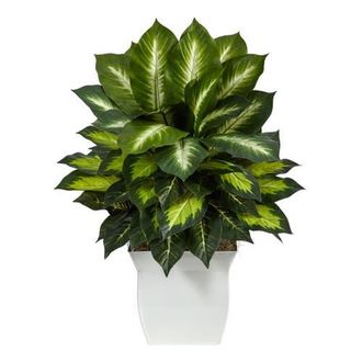 Nearly Natural 2-ft Golden Dieffenbachia Artificial Plant in White Metal Planter in Green at Nordstrom