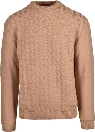 Daniele Fiesoli Truien & Vesten, Heren, Bruin, M, Wol, Maglione Girocollo