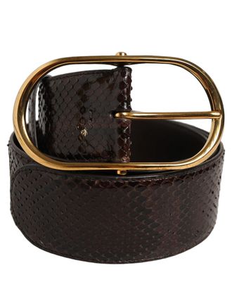 Dolce & Gabbana Python Leather Gold-Buckle Belt - Brown