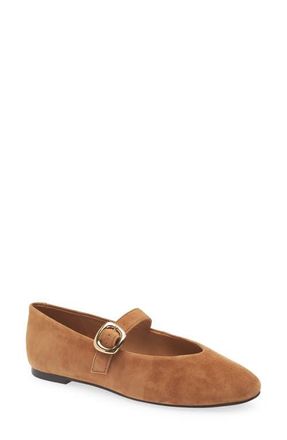 Madewell The Remy Mary Jane Flat in Dried Acorn at Nordstrom, Size 6.5
