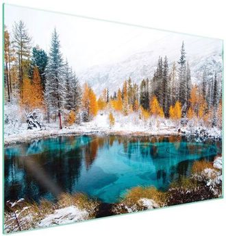 OEM Placa Protectora De Vidrio Para Estufa 70x52 Ver