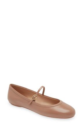 Gianvito Rossi Carla Ballerina in Almond Leopard Print at Nordstrom, Size 35.5
