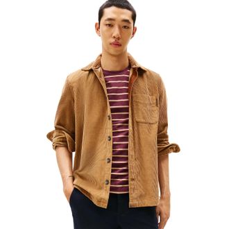 Tommy Hilfiger Heren Corduroy Overhemd (Hickory)