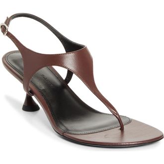 Proenza Schouler Tee Sandal in Chocolate at Nordstrom, Size 9.5Us