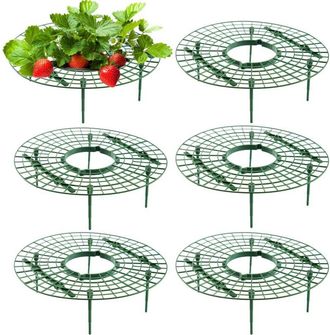 OEM 10 Marcos Para Fresas, Soporte Ajustable Para Fresas, Soporte Para Plantas, Soportes Para El Cultivo De Fresas, Soporte De Plantaci&oacute;n De Fresas Extra&iacute;