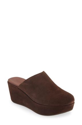 Chocolat Blu Yoma Platform Clog in Chocolate Suede at Nordstrom, Size 7.5