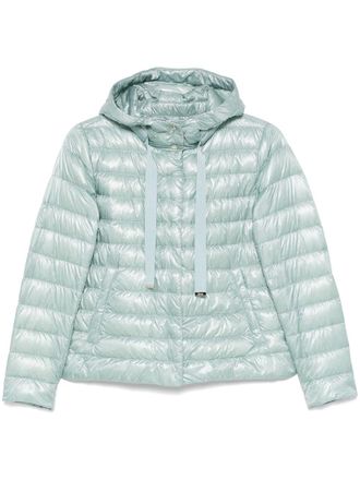 Herno padded jacket - women - Polyamide/Polyester/Cotton/Polyamide/Goose Down/Goose Feather - 44 - Blue