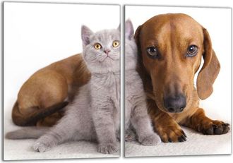 OEM Placa Protectora De Vidrio Para La Estufa 2x40x52 Animales