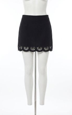 Z Supply Charlene Embroidery Mini Skirt In Black