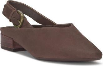 Lucky Brand Brigeet Pointed Toe Pump in Cappuccino Suede at Nordstrom, Size 12