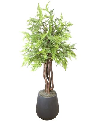 Creative Displays Inc. Mountain Fern Tree In Fiberstone Pot
