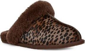 UGG Scuffette Genuine Calf Hair Slipper in Bcdr at Nordstrom Rack, Size 5