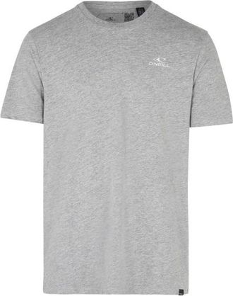 O'Neill ONeill Small Logo T-Shirt T-Shirt für Herren | grau
