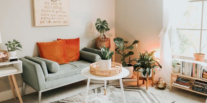 Wohnzimmer mit Samtsofa und vielen Zimmerpflanzen.