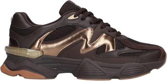 Steve Madden Schoenen, Dames, Bruin, 36 EU, Sneakers Speeder