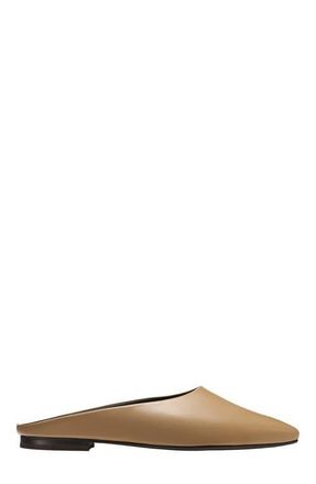 Margaux Eyewear The Clara Mules in Praline Calf at Nordstrom, Size 38.5