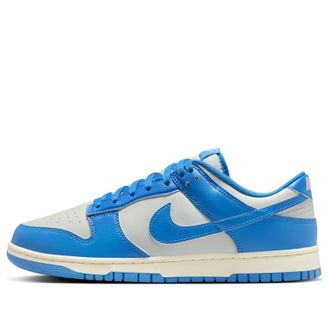 Nike Dunk Low Retro Light Silver Photo Blue Sail HF5441-002