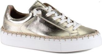 Diba EM BELISH Metallic Leather Lace Up Sneaker in Light Gold at Nordstrom, Size 6.5
