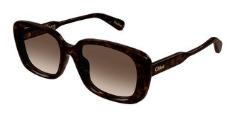 Chloé CH0225SK Asian Fit 002 Womens Sunglasses Tortoiseshell Size 55