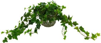 Creative Displays Inc. Dark Ivy In Decorative Modern Glass Vase