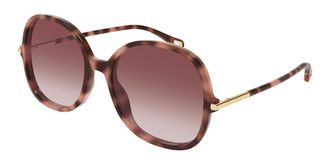 Chlo&eacute; CH0383S 004 Womens Sunglasses Tortoiseshell Size 57