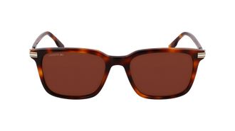 Lacoste L6035S 214 HAVANA 53/18/145 MALE Sunglasses