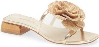 Koko + Palenki Ana Slide Sandal in Gold Light-Raffia Flower at Nordstrom, Size 11Us