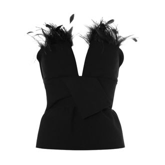 Alberta Ferretti Feather-trimmed Top