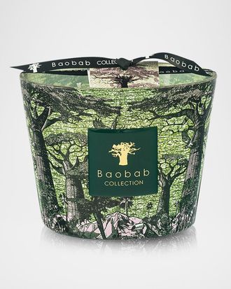Baobab Sacred Trees Touba 4-Wick Max 10 Candle, 1.3 kg