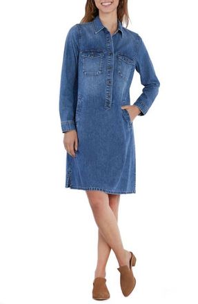 Wash Lab Denim Long Sleeve Denim Shift Dress in Loved Blue at Nordstrom, Size X-Small