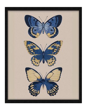 Fairchild Paris Butterfly Trio By Kristie Millan Wall Art
