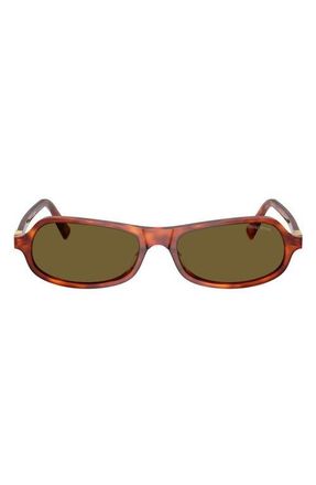 Miu Miu 55mm Irregular Sunglasses in Havana Cognac /Dark Brown at Nordstrom