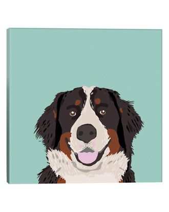 iCanvas Icanvas Icanvas Bernese Mountain Dog By Pet Friendly