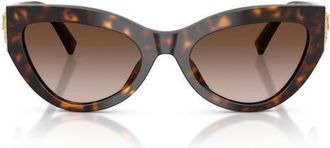 Dolce & Gabbana 55mm Cat Eye Sunglasses in Havana /Gradient Brown at Nordstrom