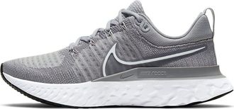Nike (WMNS) Nike React Infinity Run Flyknit 2 Particle Grey CT2423-001