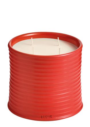 Loewe Tomato Leaves Candle - Large 2120g, Candle, High-intensity Fragrance, Green Scent That Evokes the Fresh, Verdant Aroma of the Vines