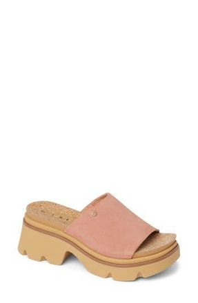 Reef Vista Luxe Evie Platform Slide Sandal in Mauve at Nordstrom Rack, Size 8.5