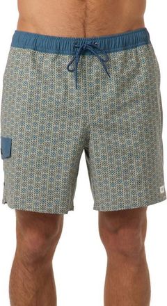 O'Neill Hermosa Retro Swim Trunks in Seagrass at Nordstrom, Size X-Large