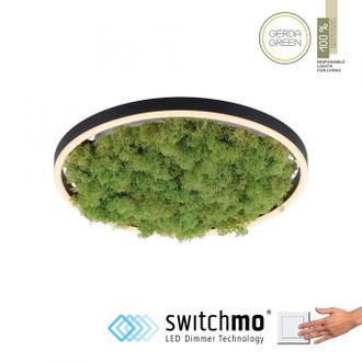 Leuchten Direkt Plafoniera Led 20w Muschio Verde Leuchten Direkt 39cm