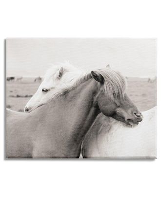 Stupell Industries Wild Country Horses Resting Animal Hug Monochromatic Photograph Stretched Canvas Wall Art By Danita Delimont