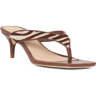 Cinq &agrave; Sept Frankie Zebra Print Calf Hair Thong Sandal in Dark Sepia/Ivory at Nordstrom, Size 10.5Us